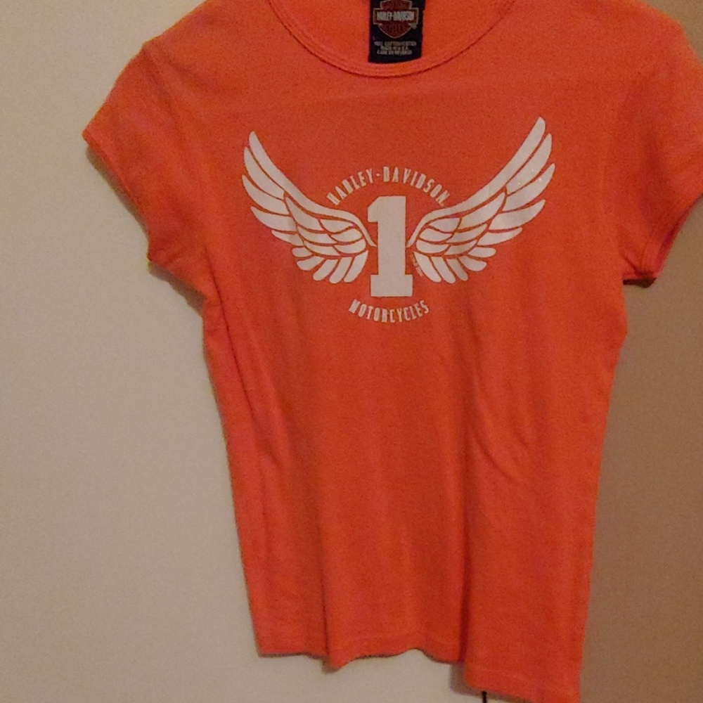 Harley Davidson S